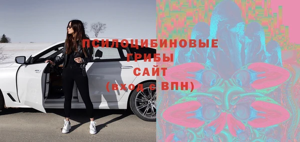 гидра Нея