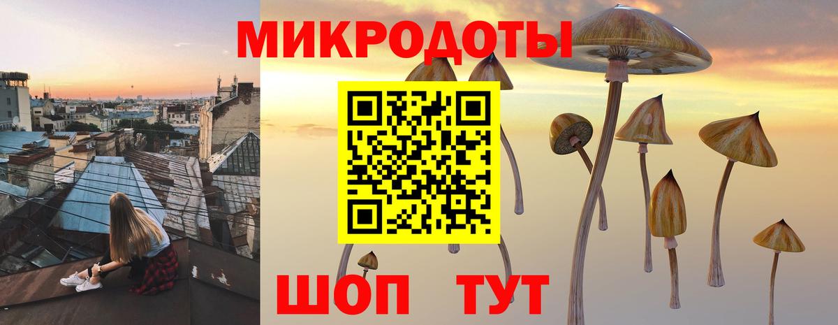 Псилоцибиновые грибы прущие грибы Скопин